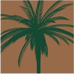 Palm Garden Healthcare logo