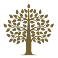 TaraVista Health Partners logo