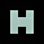 Horizon Healthcare Staffing logo