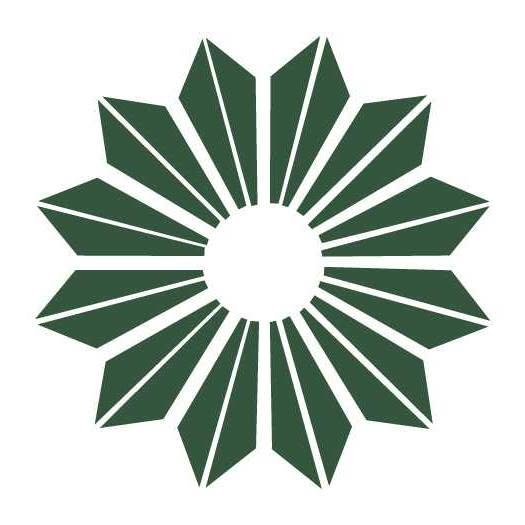 Community Options logo