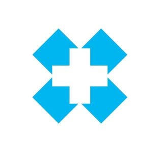 Critical Nurse Staffing logo