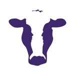 Purple Cow Recruiting logo