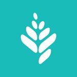 EvergreenHealth logo