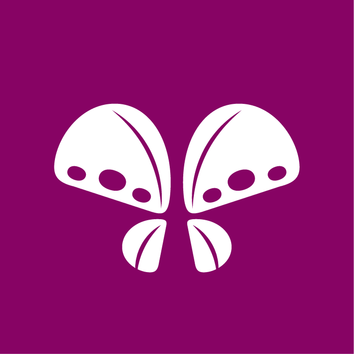 Mountain Valley Hospice & Palliative Care logo