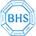 Ball HealthCare logo
