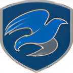 The Mission Continues logo