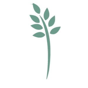 Hospice of the Piedmont logo