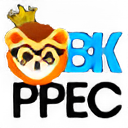 Brave Kidz logo