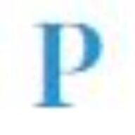 Pulse Medical Staffing logo