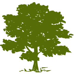 Community Health Systems logo