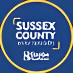 Beebe Healthcare logo