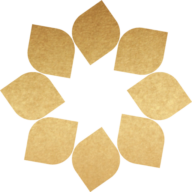 Solaris Healthcare logo