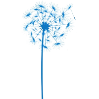 Allergy & Asthma Associates of Maine logo