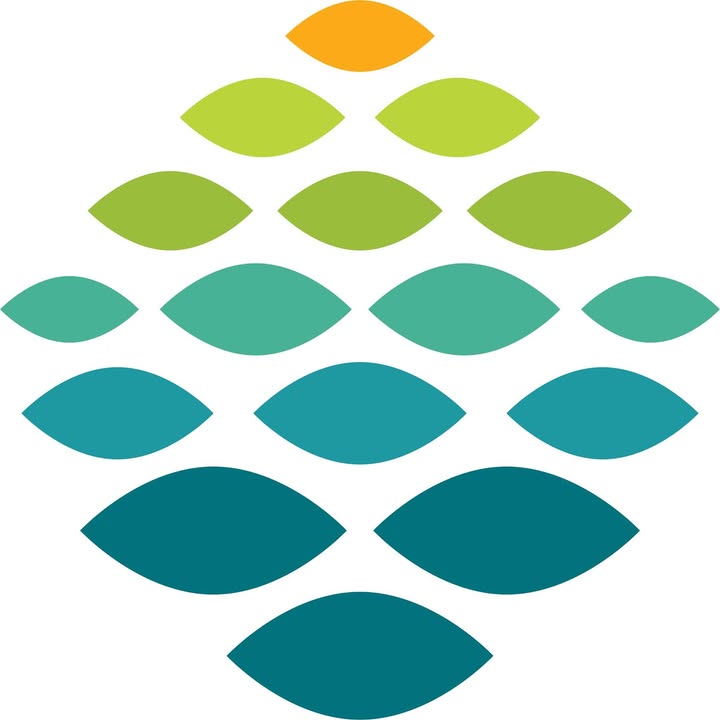 Northern Light Health logo