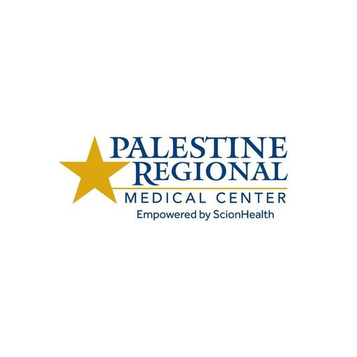 Palestine Regional logo