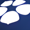 Community Connections logo