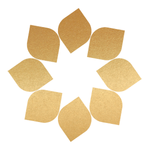 Solaris Healthcare logo