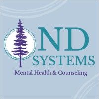 ND Systems logo