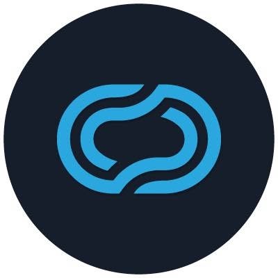 Networks Connect logo