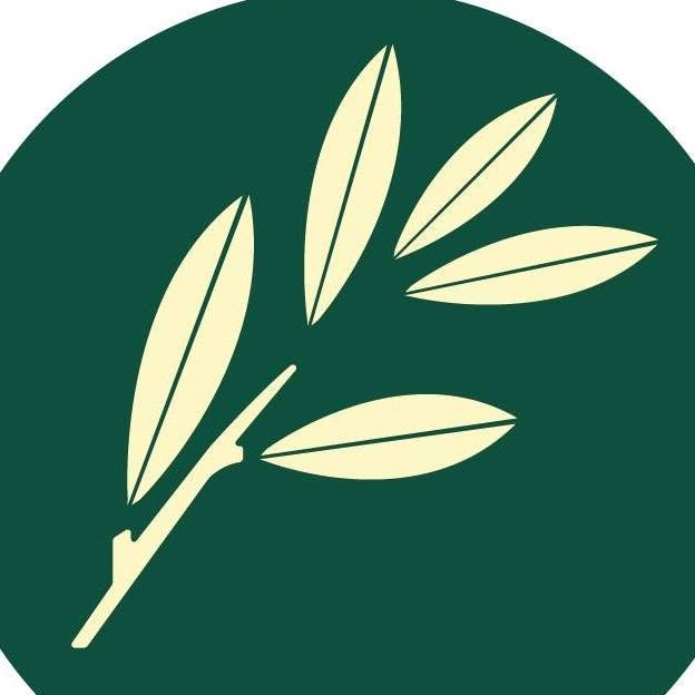 Willow Health Care logo