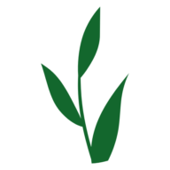 Willow Brook Rehabilitation logo