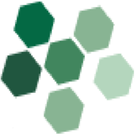 Veritas Management Group logo