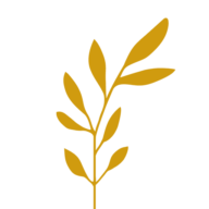 BHI Senior Living logo