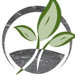 Cornerstone VNA logo