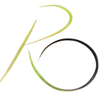 Retail Options logo