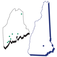 Maine Staffing Group logo